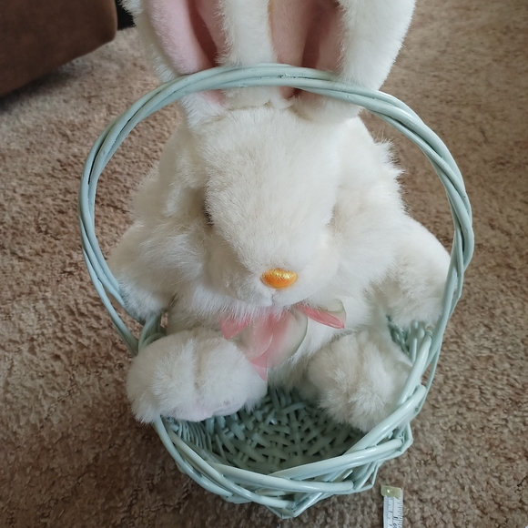 LG Easter Basket & Bunny !! - Picture 14 of 16